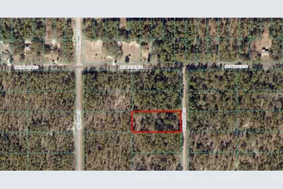 Sw Wisteria Court, Dunnellon, FL 34432 - Photo 3