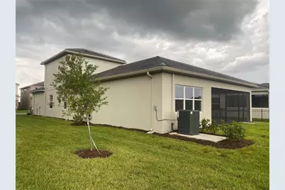 32583 Tree Of Life Avenue, Wesley Chapel, FL 33543 - Photo 9