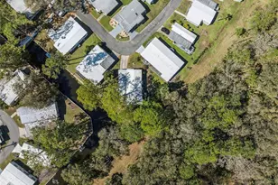 197 Palm Meadows Dr, Eustis, FL 32726 - Photo 39