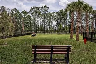 12971 Harvest Rain Ave, Winter Garden, FL 34787 - Photo 53