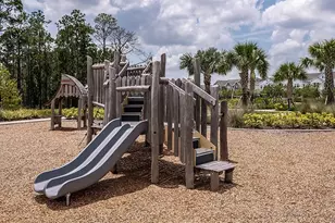 12971 Harvest Rain Ave, Winter Garden, FL 34787 - Photo 49