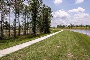 12971 Harvest Rain Ave, Winter Garden, FL 34787 - Photo 51