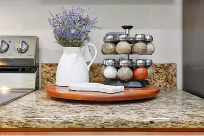 8966 California Palm Road, Kissimmee, FL 34747 - Photo 11