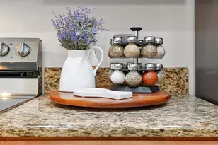 8966 California Palm Rd, Kissimmee, FL 34747 - Photo 11