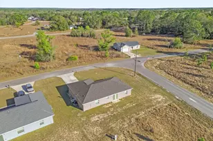 162 Malauka Run, Ocklawaha, FL 32179 - Photo 23