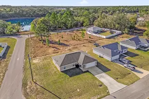 162 Malauka Run, Ocklawaha, FL 32179 - Photo 27