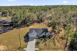 549 Malauka Radial, Ocklawaha, FL 32179 - Photo 27