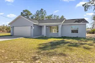 549 Malauka Radial, Ocklawaha, FL 32179 - Photo 29