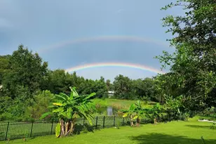 30339 Plymouth Creek Cir, Sorrento, FL 32776 - Photo 43