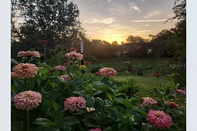 30339 Plymouth Creek Circle, Sorrento, FL 32776 - Photo 49