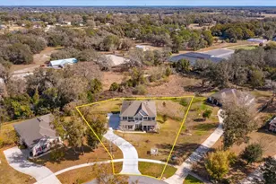 30339 Plymouth Creek Cir, Sorrento, FL 32776 - Photo 5