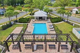 2117 Gopher Tortoise Terrace, Oakland, FL 34787 - Photo 33