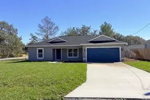 77 Malauka Pass, Ocklawaha, FL 32179 - Photo 1