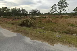 62 Fisher Loop, Ocklawaha, FL 32179 - Photo 1