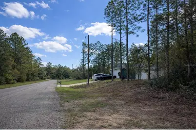 602 E Nemo Drive, Dunnellon, FL 34434 - Photo 3