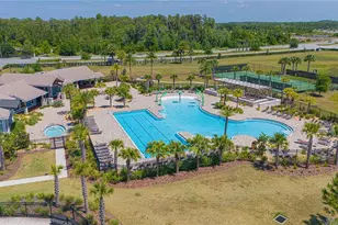 11408 Satire St, Orlando, FL 32832 - Photo 59