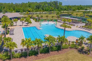 11408 Satire St, Orlando, FL 32832 - Photo 69