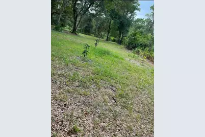 1301 Arapaho Trail, Geneva, FL 32732 - Photo 1