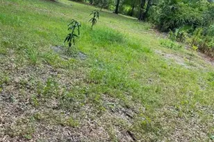 1301 Arapaho Trail, Geneva, FL 32732 - Photo 1