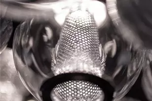 6108 S Elkins Ave, Tampa, FL 33611 - Photo 15