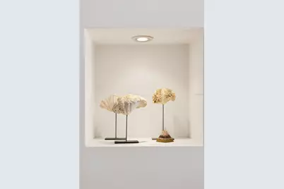 6108 S Elkins Avenue, Tampa, FL 33611 - Photo 19