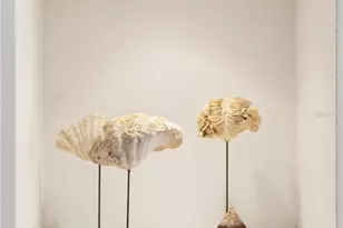 6108 S Elkins Ave, Tampa, FL 33611 - Photo 19