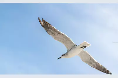 1817 Highway 98, Mexico Beach, FL 32456 - Photo 19