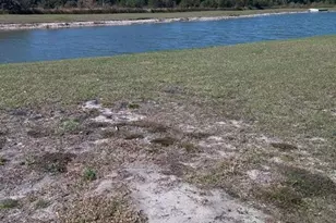 1193 Haines Dr, Winter Haven, FL 33881 - Photo 21