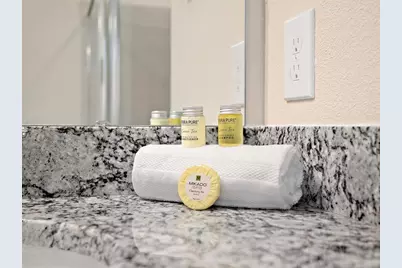 3835 Lana Avenue, Davenport, FL 33897 - Photo 19