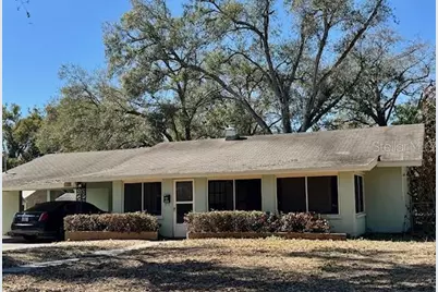 313 S Rossiter Street, Mount Dora, FL 32757 - Photo 1