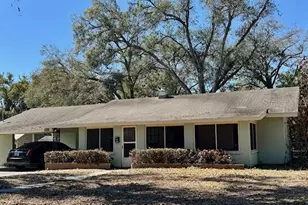 313 S Rossiter St, Mount Dora, FL 32757 - Photo 1