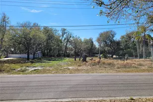 6606 Sawyer Shores Ln, Windermere, FL 34786 - Photo 19