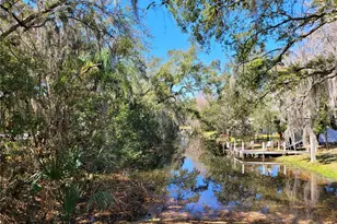 6606 Sawyer Shores Ln, Windermere, FL 34786 - Photo 19