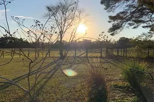 7650 NE 40th St, High Springs, FL 32643 - Photo 67