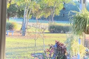 7650 NE 40th St, High Springs, FL 32643 - Photo 63