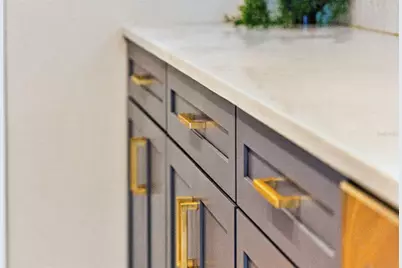 643 Dunblane Drive, Winter Park, FL 32792 - Photo 43