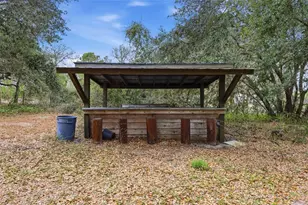 2505 Canal Rd, Lake Wales, FL 33898 - Photo 33