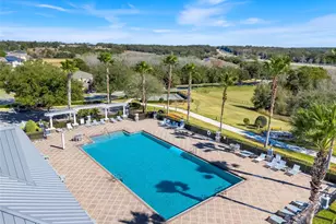 2385 Sirena Ln, Mount Dora, FL 32757 - Photo 29