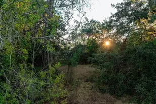 6705 Balsam Pl, Sebring, FL 33875 - Photo 1