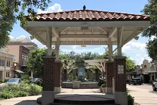 15813 Sweet Lemon Way, Winter Garden, FL 34787 - Photo 57