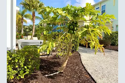 3001 Sea Plane Lane, Kissimmee, FL 34747 - Photo 27