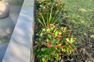 1815 Barker Dr, Winter Park, FL 32789 - Photo 59