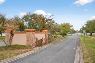 4520 Claire Rose Ct, Mount Dora, FL 32757 - Photo 95