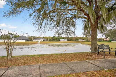 4520 Claire Rose Court, Mount Dora, FL 32757 - Photo 97