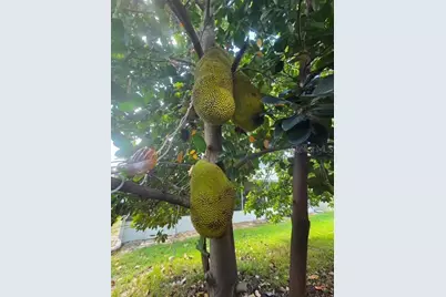 632 Blenheim Loop, Winter Springs, FL 32708 - Photo 55