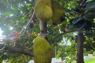 632 Blenheim Loop, Winter Springs, FL 32708 - Photo 55