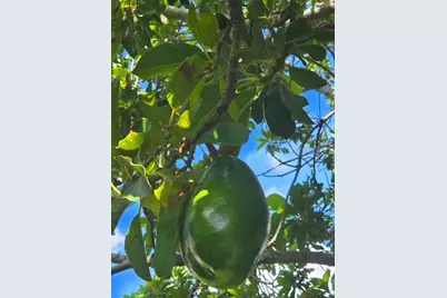 632 Blenheim Loop, Winter Springs, FL 32708 - Photo 53