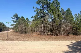 6501 N Winlock Terrace, Dunnellon, FL 34433 - Photo 1