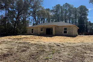 411 W Eridani Ct, Citrus Springs, FL 34434 - Photo 53