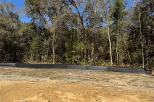 411 W Eridani Ct, Citrus Springs, FL 34434 - Photo 49